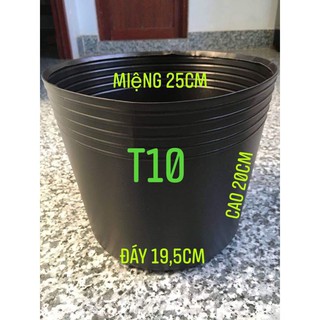 Chậu nhựa mềm C10 ( KT: 26 x 20 x 19.5cm)