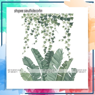 Decal dán tường phòng ngủ LÁ CHUỐI THƯỜNG XUÂN QR05. Đề can dán tường Hàn quốc kích thước 60x90cm