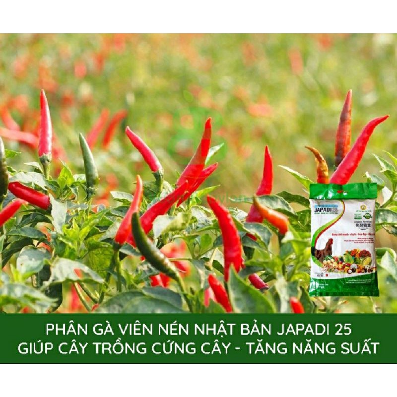 Bao 5Kg Phân Gà Hữu Cơ Nhật Cho Cây Ớt Ra Trái