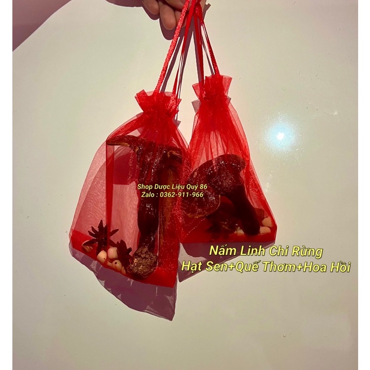 Set Thu Hút Tài Lộc Mua May Bán Đắt Nấm Linh Chi rừng + hạt sen + hoa hồi + quế thanh