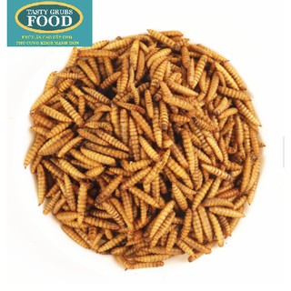 Sâu canxi - đồ ăn cho cá cảnh 50G - Snack cho thú cưng - Truyền Thống