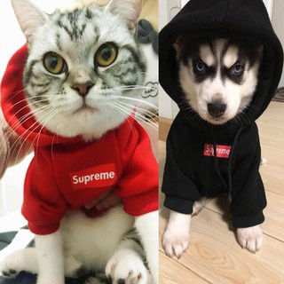 Áo nỉ Supre sành điệu cho chó mèo