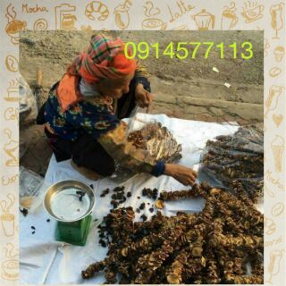 Nấm hương SaPa 0.5 ~ 1kg
