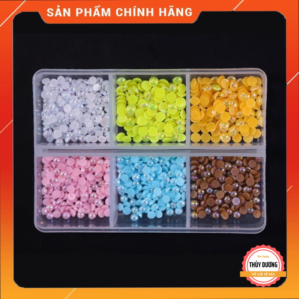Khay trai nữa trang trí móng 6 màu chuyên dùng làm nail