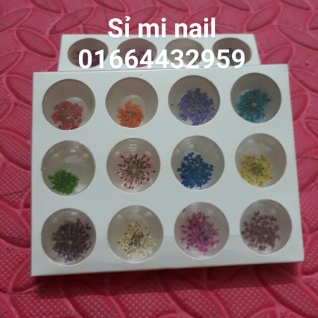 Hoa lụa hoa chùm ho khô trang trí móng..