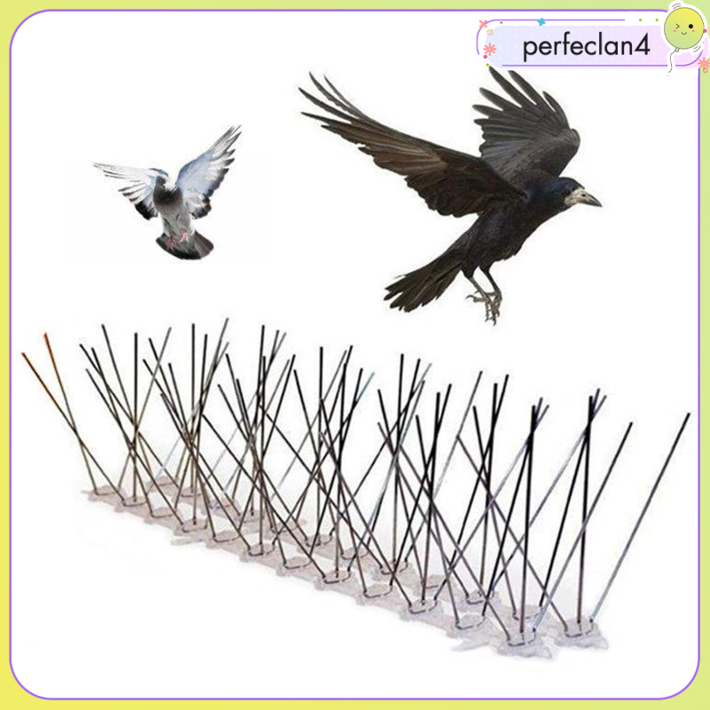 🍁perfeclane12pcs Anti Bird/Pigeon Fence Wall Spikes Anti-Climb SpikesWindow Roof Wall