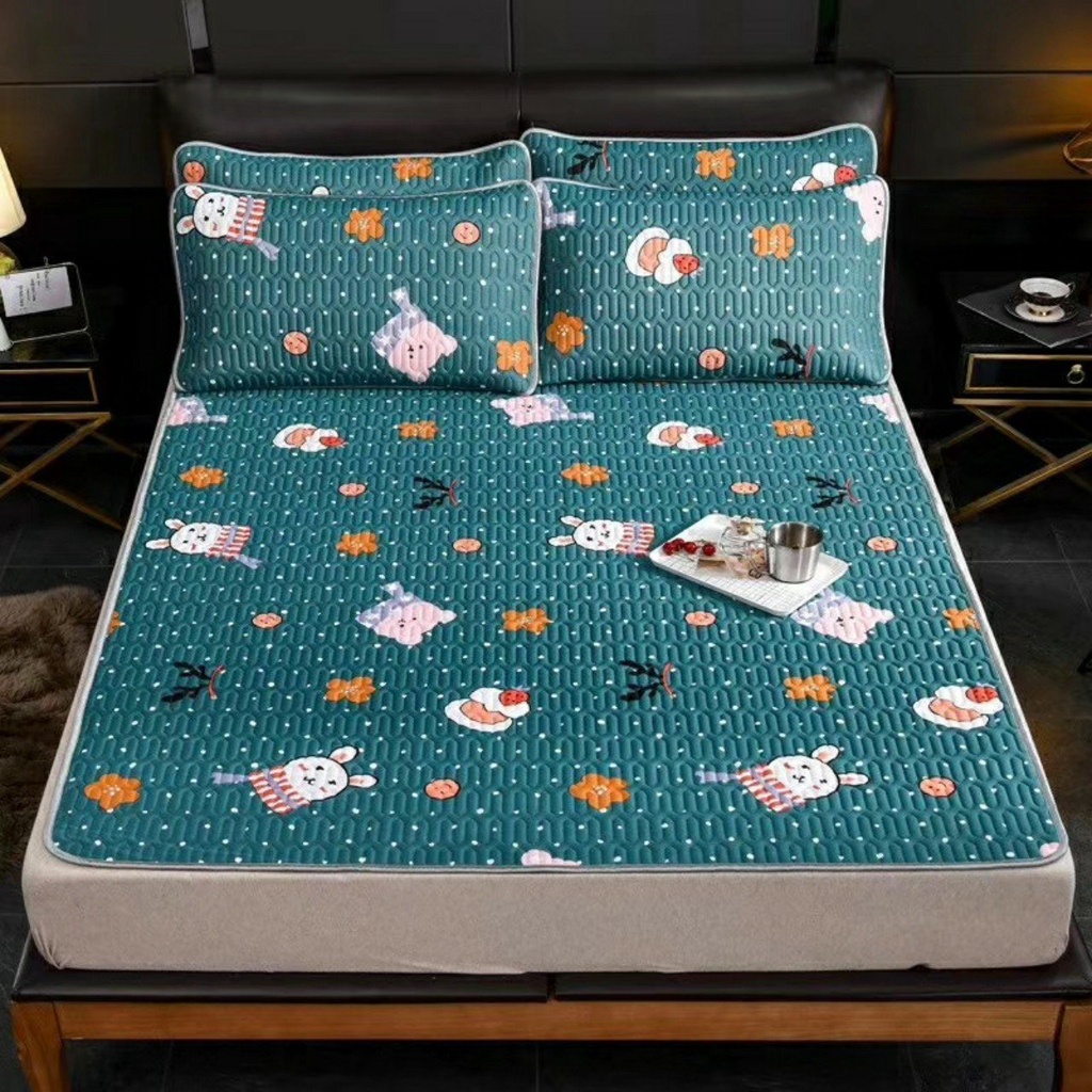 Chiếu điều hòa cao su non 3d Latex thông minh ga trải giường đủ size tặng 2 vỏ gối cùng màu có túi zip bọc nệm đệm đẹp