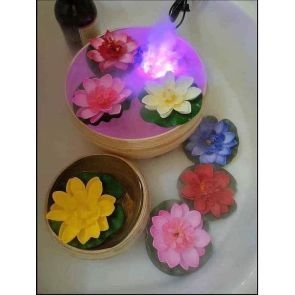 Hoa Sen Thả Nổi Trang Trí Phong Thủy, Hoa Thả Bồn Gội Đầu Spa