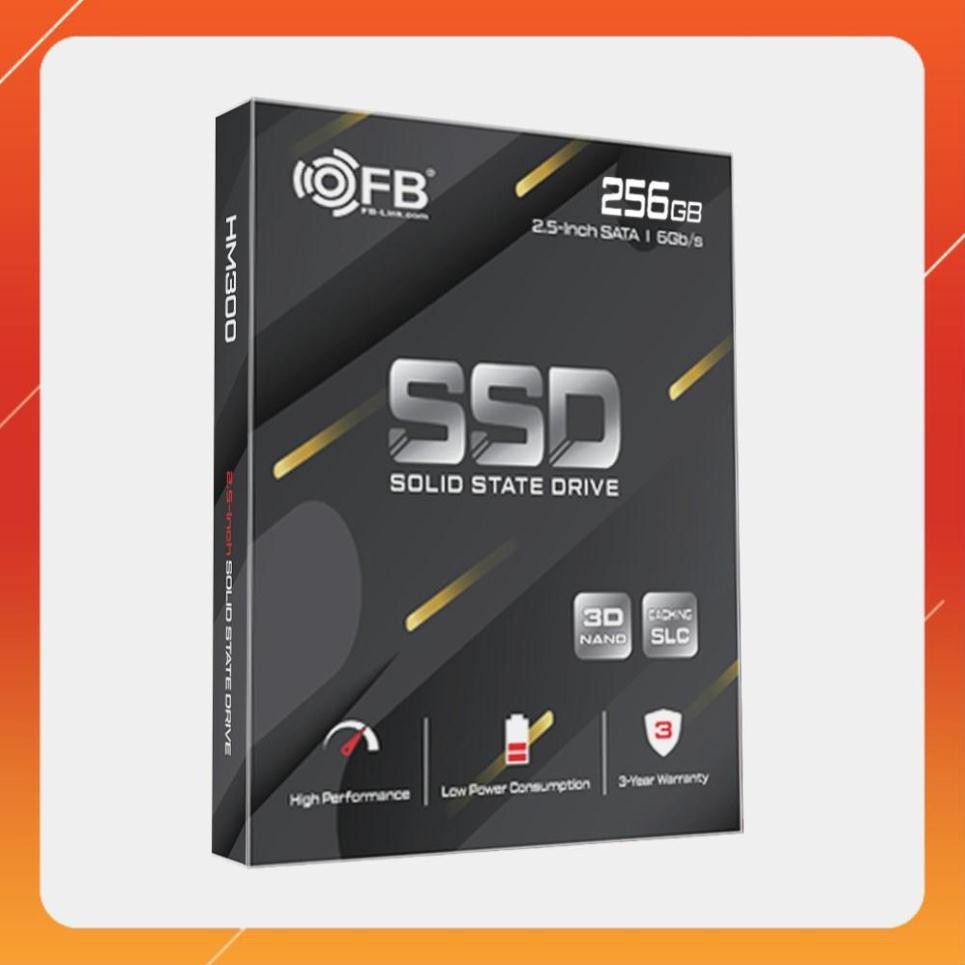 [FreeShip Toàn Quốc] Ổ CỨNG SSD FB-LINK HM-300 256GB CHÍNH HÃNG BH 3 NĂM