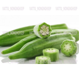 Bộ 2 gói hạt giống Đậu Bắp Cao Sản- Hạt Giống Sạch- An Toàn(10g/gói)