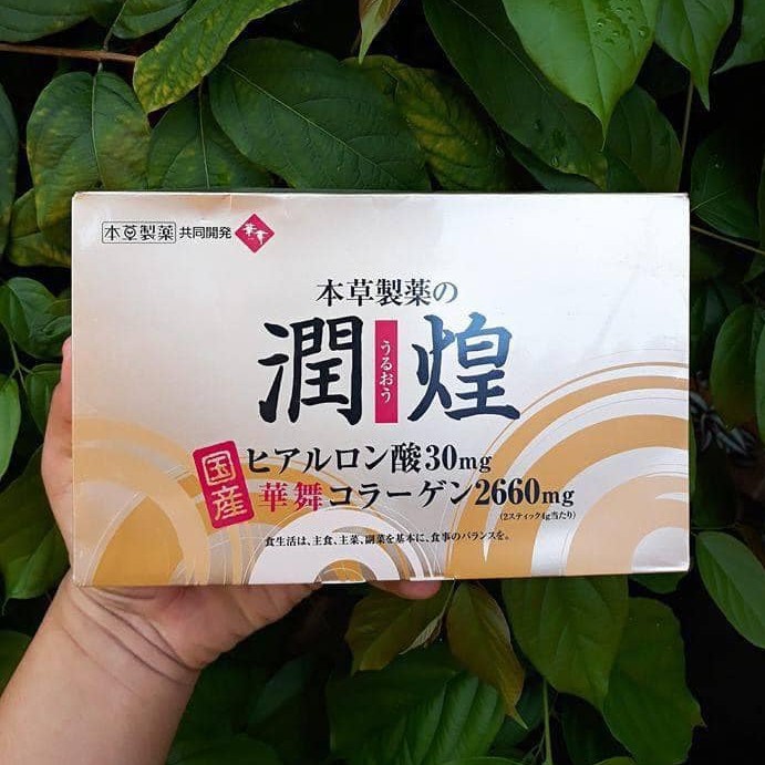 Collagen Sụn Vi Cá Mập Hanamai Premium Nhật Bản - COLLAGEN GOLD - hangxachtaybaoanshop