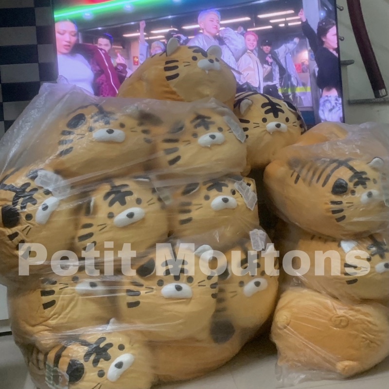HỔ BÔNG HỔ BÉO CHEAPMOMENT HOSHI SEVENTEEN