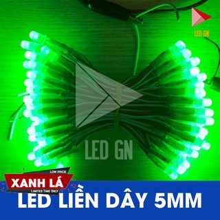 LED Liền Dây 5mm - Đủ Màu - 5V DC
