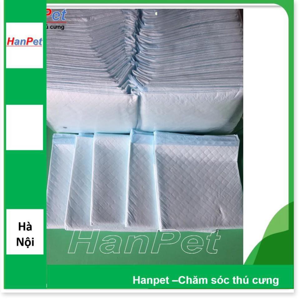 Hanpet.GV- 10 miếng tã lót khay vệ sinh, lót chuồng chó, lót sàn xe- size lớn 45x60cm (- 393c)