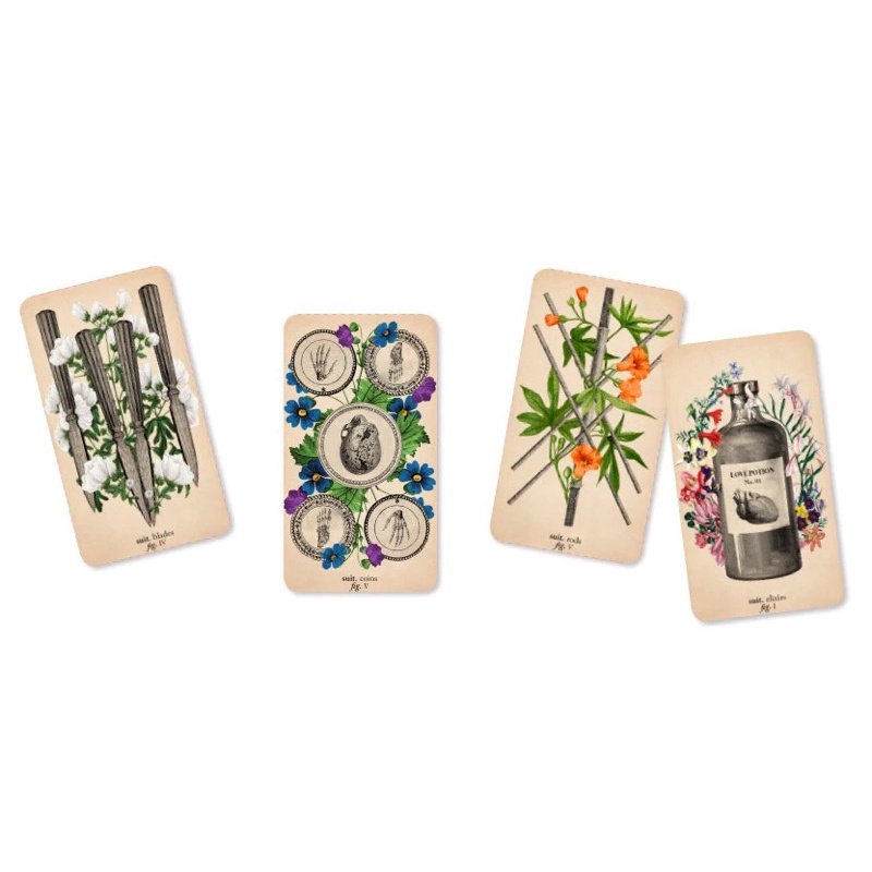 Bộ bài The Antique Anatomy Tarot Kit authentic order Mỹ  for the Modern Reader