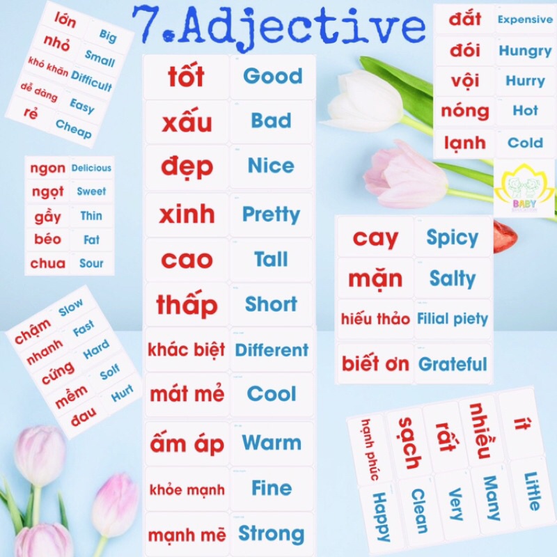 Flashcard glenn doman thẻ chữ song ngữ chuẩn Ivory 350 BABY EDUCATION