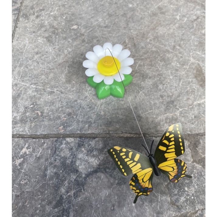 🦋🦋 Đồ Chơi Bắt Bướm Cho Mèo Cưng