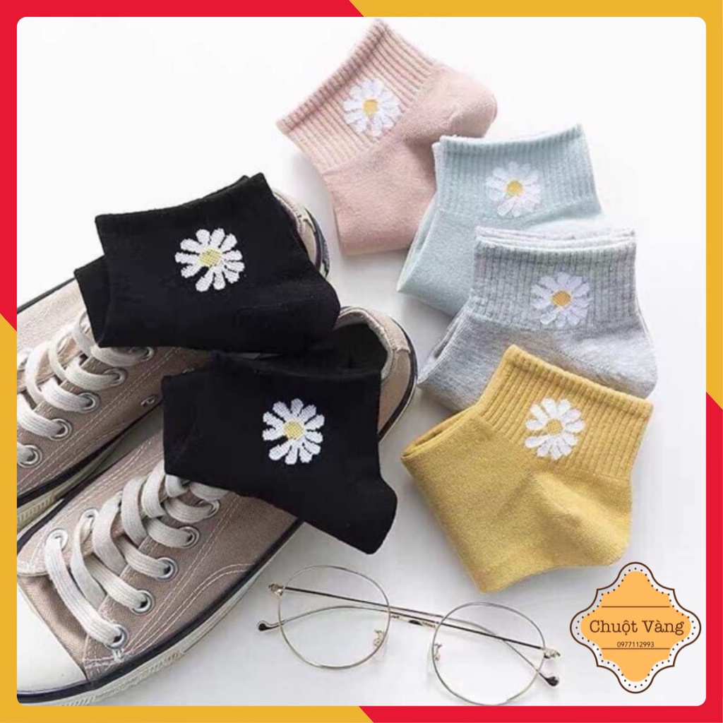 Set 10 tất hoa cúc cổ ngắn