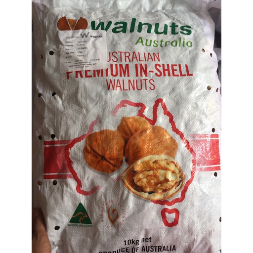 NHÂN QUẢ ÓC CHÓ MỸ _500g