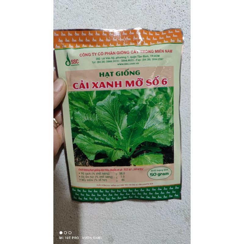 Hạt giống cải xanh mỡ số 6 gói 50gr