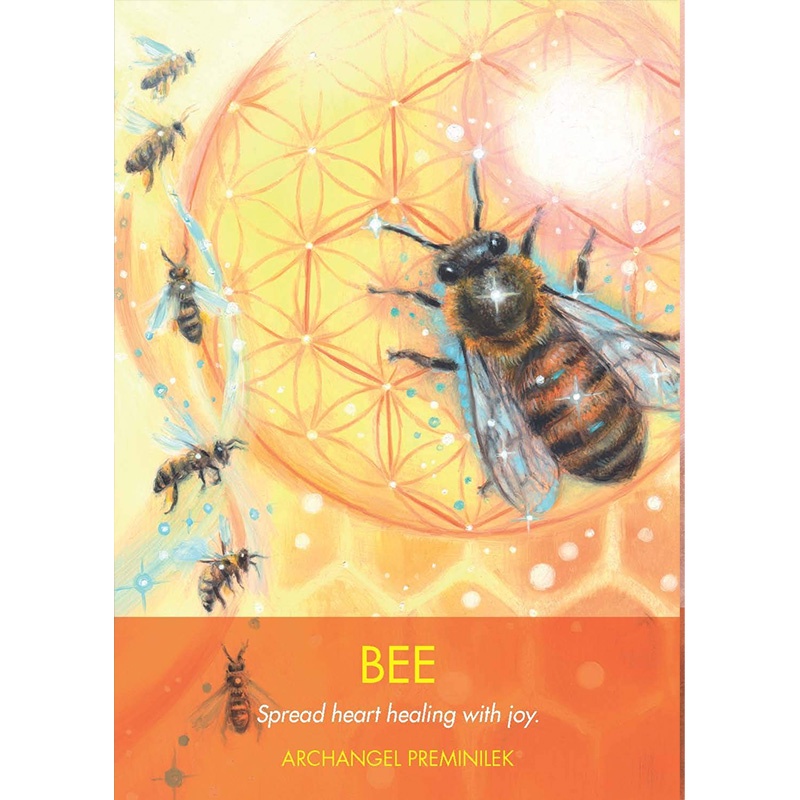 Bộ Bài Archangel Animal Oracle (Mystic House Tarot Shop) - Bài Gốc Authentic Chính Hãng 100%