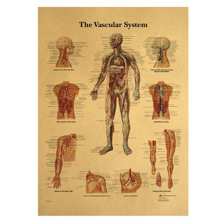 Áp Phích Dán Tường Hình Cơ Bắp Phong Cách Cổ Điển