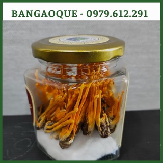 Đông Trùng Hạ Thảo Nguyên Con - Đông Trùng Hạ Thảo Ký Chủ Nhộng Tằm