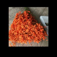 Hoa khô nhiều màu