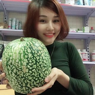 Hạt bí mèo đen ( 1kg)