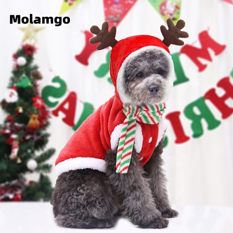 Trang phục Giáng Sinh dễ thương cho thú cưng