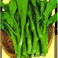 Hạt giống rau cải ngồng mập (20g)