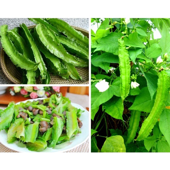 10Gram Đậu rồng  Siêu Quả Giòn Ngon