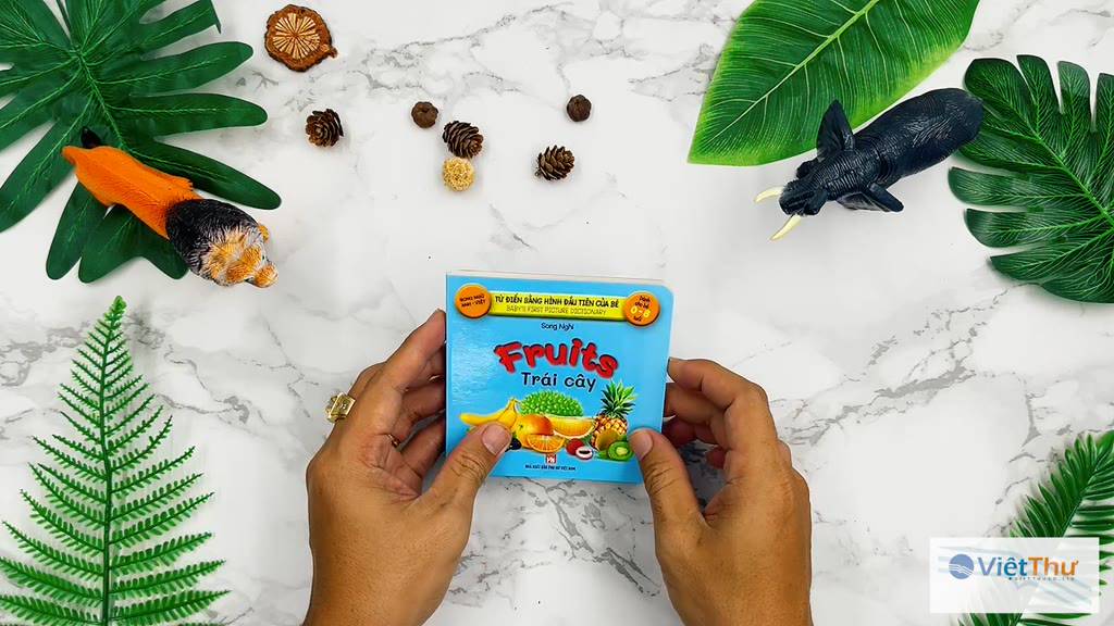 Sách - Baby'S First Picture Dictionary - Từ Điển Bằng Hình Đầu Tiên Của Bé - Trái Cây - Fruits (Bìa Cứng) | BigBuy360 - bigbuy360.vn