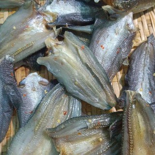 khô cá lóc cửng thơm ngon ngất ngây (Cá Quả, Cá chuối, Tràu)