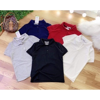 ÁO PHÔNG CỔ ĐỨC (MAI PHẠM