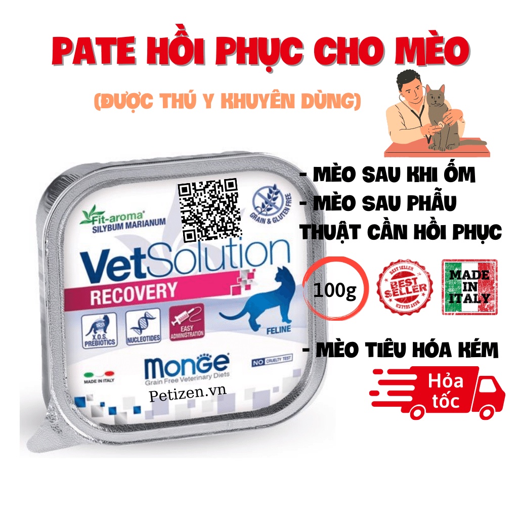 Pate Monge VetSolution Cat Recovery - Pate cho Mèo - hộp 100g