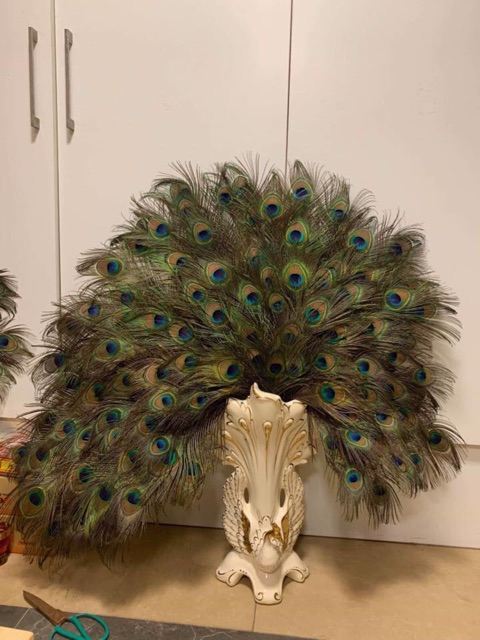 Lông công ~50cm HÀNG ĐẸP mắt 4-6cm | BigBuy360 - bigbuy360.vn