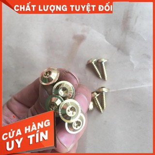 Ốc lục giác hoa ren xoắn proti bắt dàn yếm