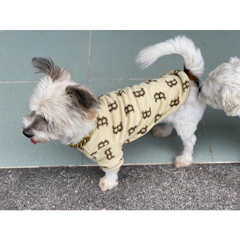 Áo nỉ cho chó mèo