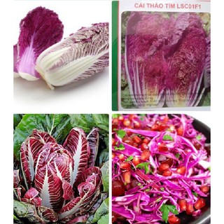 Hạt giống rau cải thảo tím Nhật Bản - 1 gói 10 hạt
