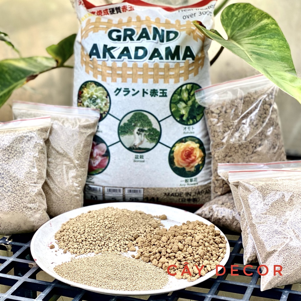 Đá Akadama SIÊU CỨNG cao cấp cho Thủy sinh, Sen đá, nhiều size gói 1kg