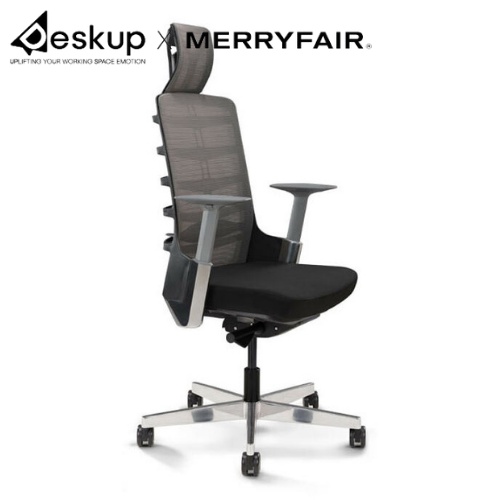 Ghế Công Thái Học Spinelly Nhập Khẩu Malaysia, Hồ Trợ Cột Sống Lưng