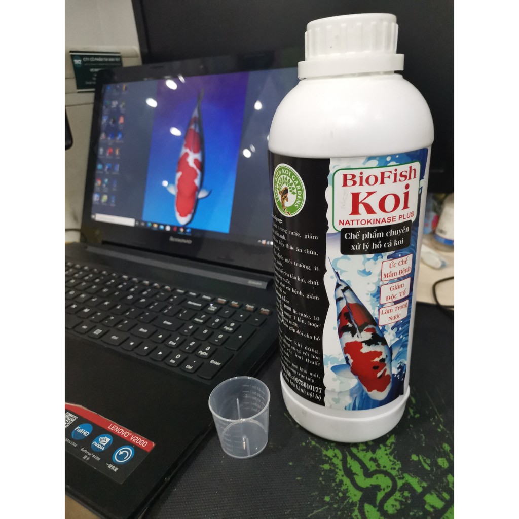 BIOFISH KOI- Chai Vi Sinh làm trong nước bể cá thể tích 1000ml( tặng kèm cốc đo châm vi sinh)