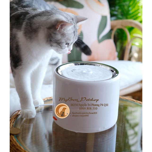 Petkit Eversweet 3 - Máy lọc nước thông minh thế hệ 3 2021 cho chó - mèo - thú cưng (tặng 1 lõi lọc)
