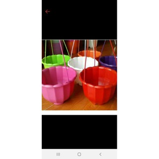 100 cái chậu treo bí đủ màu phi 22cm x15cm