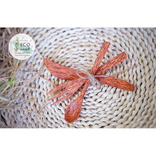 Bộ Dao Muỗng Nĩa Gỗ Dừa ECO CRAFT