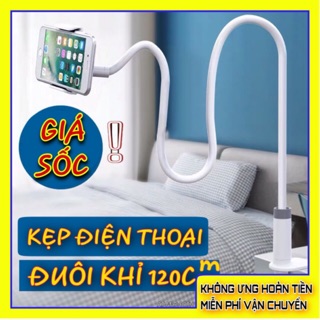 Kẹp Điện Thoại Đuôi Khỉ ROCK Chính Hãng