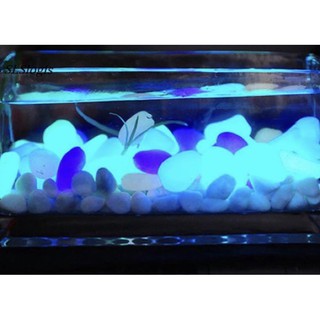 100g sỏi dạ quang trang trí bể cá, trang trí đường đi