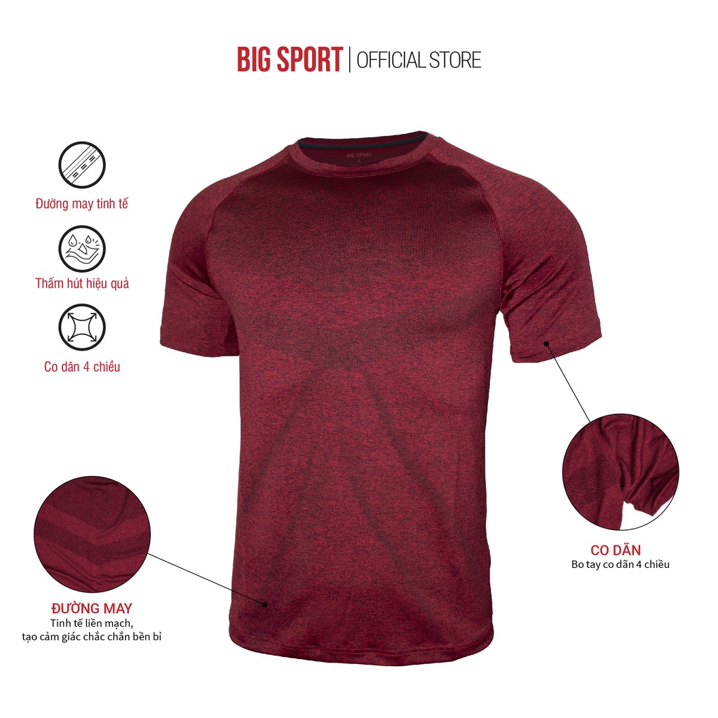 Áo Thun Nam Thể Thao Tập Gym Vải Poly Cao Cấp Mặc Ở Nhà Co Giãn 4 Chiều Thấm Hút Mồ Hôi-  Bigsport BS08