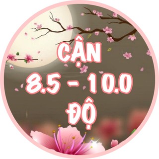 Cận 8.5 - 10.0 độ